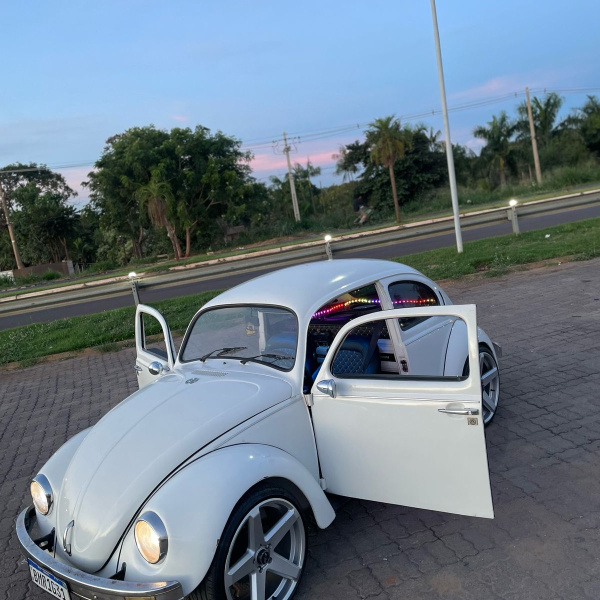 RIFA FUSCA PBA